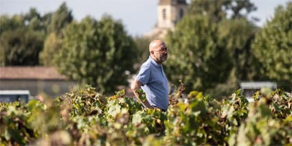 Chateau Palmer Thomas Dutroux